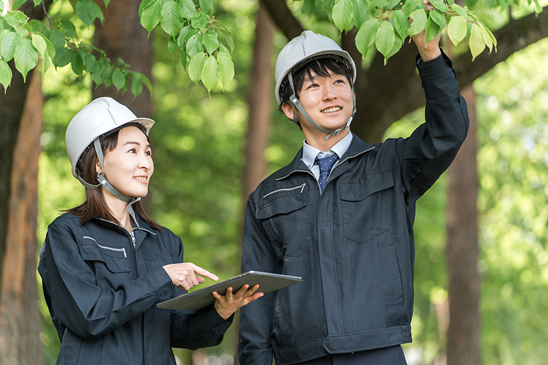 秋川緑化　植栽設計・施工