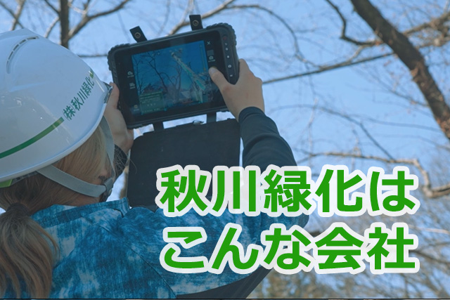 秋川緑化はこんな会社